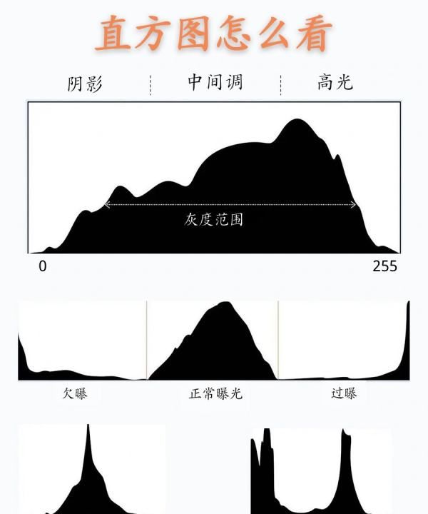 ps直方图怎么用,ps直方图怎么看图3