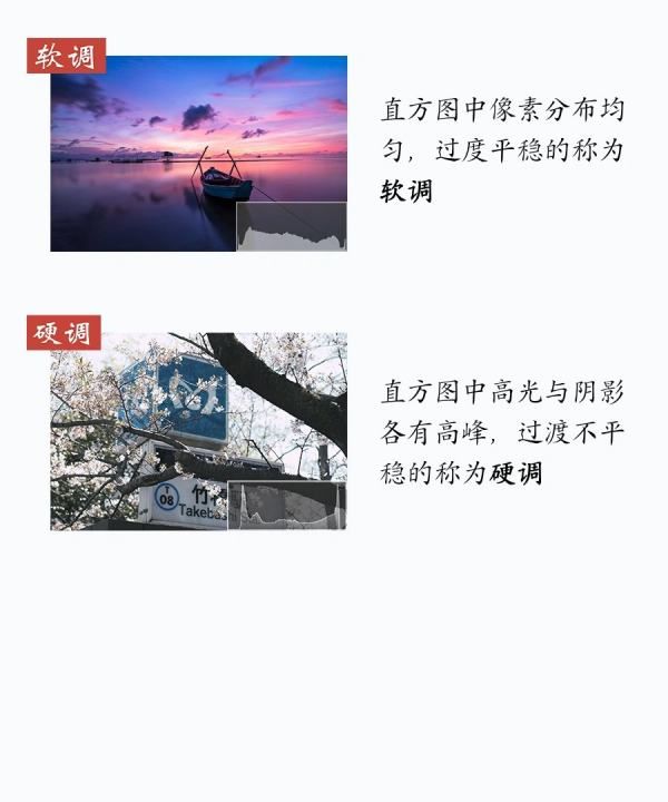 ps直方图怎么用,ps直方图怎么看图7