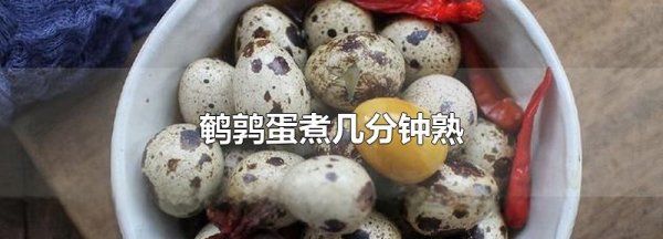 鹌鹑蛋煮多久熟,鹌鹑蛋煮多久熟图1