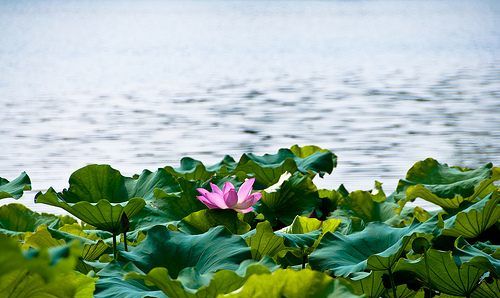 夏天早上几点天亮,夏天早上几点天亮图4