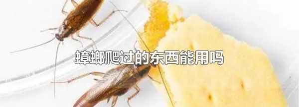 被蟑螂爬过的东西还能吃,蟑螂爬过的食物还能吃有包装图4