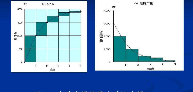 mp是什么单位,mp是什么单位名称图4