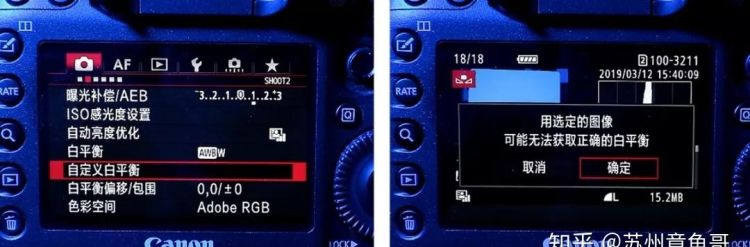 怎么样调白平衡,白平衡怎么调最佳图15