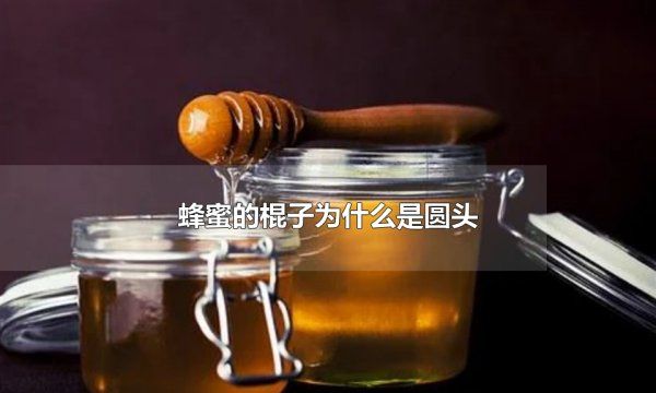 蜂蜜棒的作用是什么,蜂蜜搅拌棒的正确使用方法图3