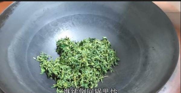 炒茶叶怎么炒,茶叶怎么炒图18