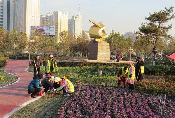 什么是节约型园林,节约型园林绿化评价标准有哪几方面内容图3