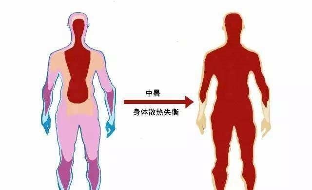 人体散热的方式有哪四种,当外界温度低于人体温度时的散热方式是什么图3