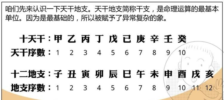 日支和时支是什么,日支和时支是什么意思图2