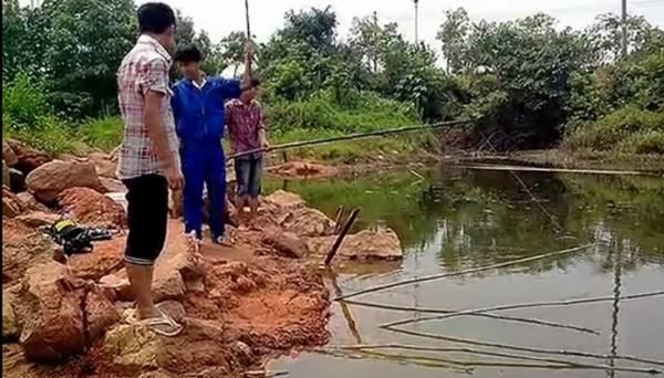 怎么知道水里面有没有龙虾,怎么判断塘里有没有鲢鳙图5