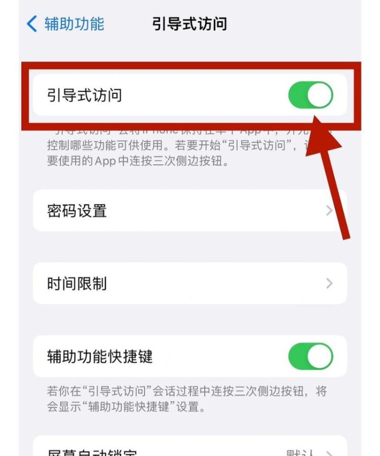 苹果手机iphone 引导式访问是什么意思,iphone引导式访问是什么意思图3