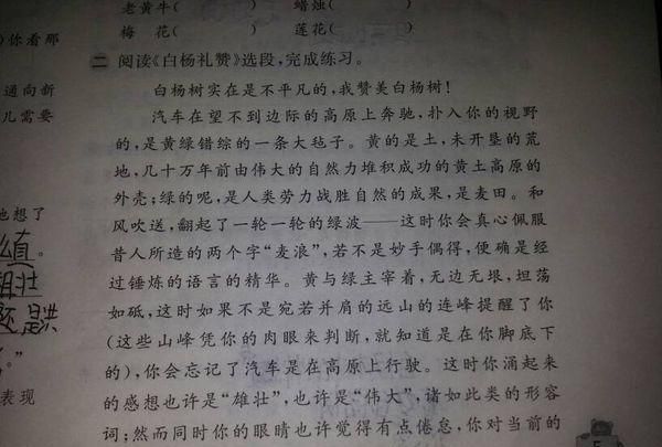 关于眼泪比喻句,描写眼泪的比喻句子图4