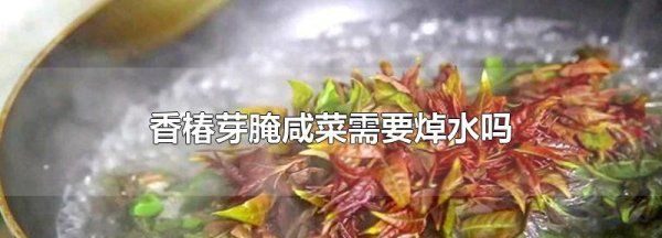 腌制香椿芽要先焯水,腌香椿需要焯水多长时间图2