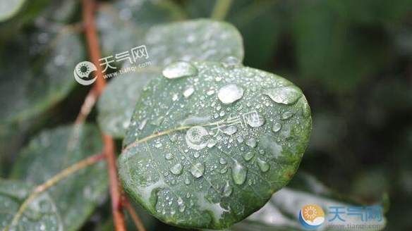 今年几号出梅雨季节2020,那天出梅雨季节图4