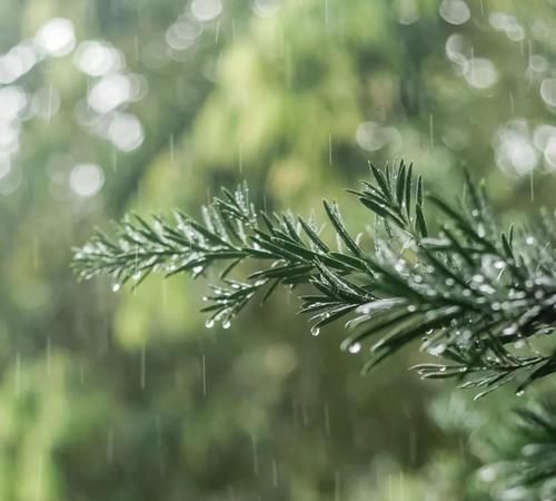 雨的种类有很多比如毛毛雨阵雨雷雨暴雨,气象上雨分几个等级图1