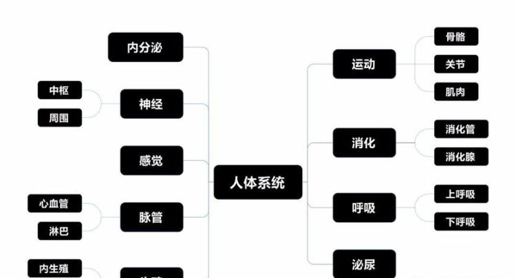 人体动作系统有哪些系统构成,在人体中含量最高的元素图6