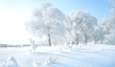 关于雪声音的句子,下雪的声音好像什么仿写