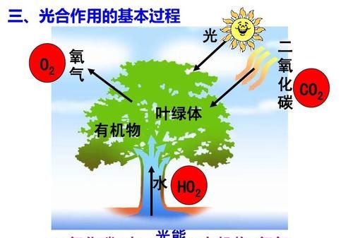 功能和作用是一样的,含义和作用的区别是什么图2