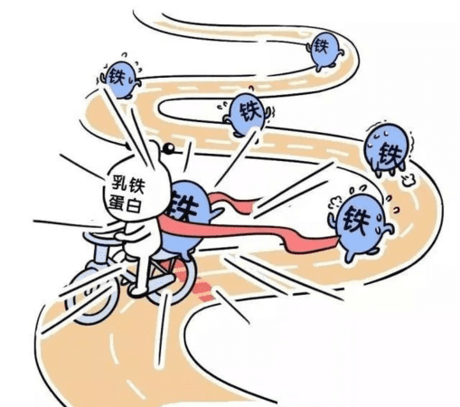 功能和作用是一样的,含义和作用的区别是什么图3