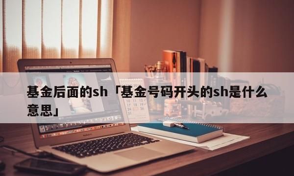 shlimy代表什么,shlimy什么意思图2