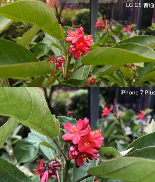 苹果手机iphone 5拍照如何背景虚化,苹果手机拍抖音背景虚化怎么关闭图1