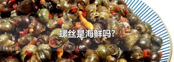 螺丝是海鲜,螺丝是海鲜一类图1