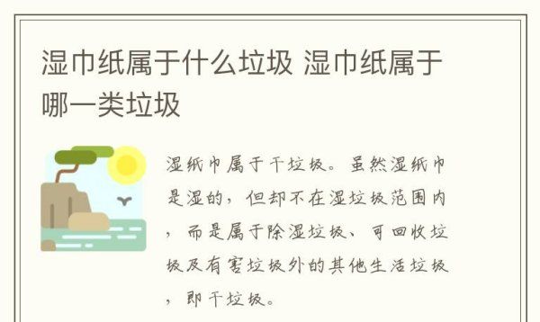 湿纸巾是干垃圾,湿纸巾是什么垃圾图2