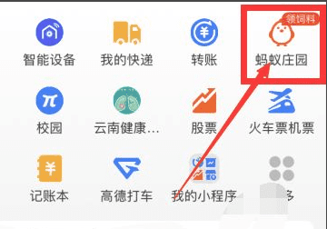 支付宝种树怎么换树,蚂蚁森林种树种错了可以换图1