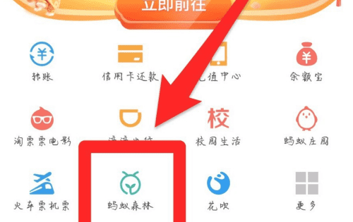 支付宝种树怎么换树,蚂蚁森林种树种错了可以换图5