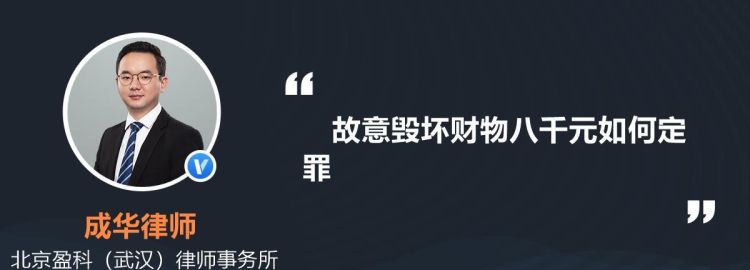 故意毁坏财物如何定罪,故意损坏他人财物怎么处理治安管理处罚法第四十三条图4