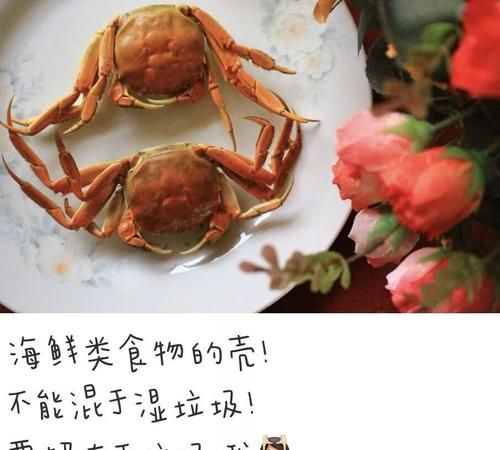 大龙虾壳是干垃圾吗？,龙虾壳多久腐烂一次图4