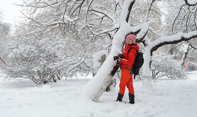 单反怎么样拍雪景,梦见雪茫茫一片图1