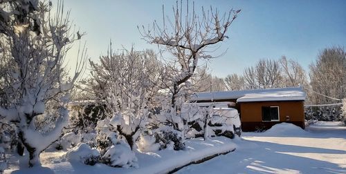 单反怎么样拍雪景,梦见雪茫茫一片图2