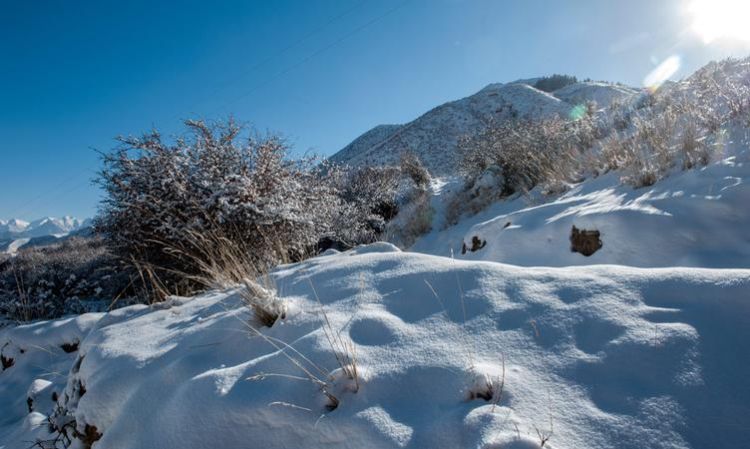 单反怎么样拍雪景,梦见雪茫茫一片图3