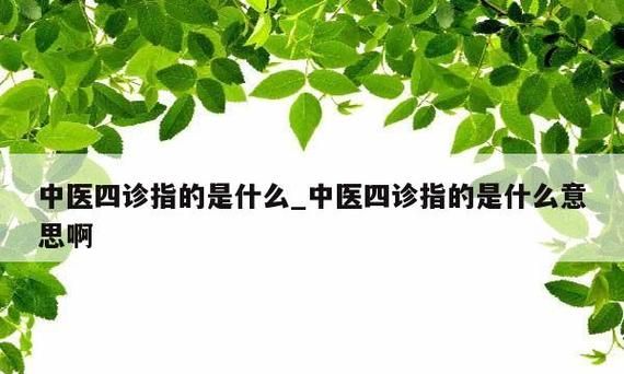 中医四诊望指的是什么,中医四诊指的是什么图2