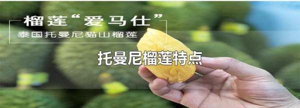 查曼尼榴莲特点,托曼尼榴莲怎么判断成熟