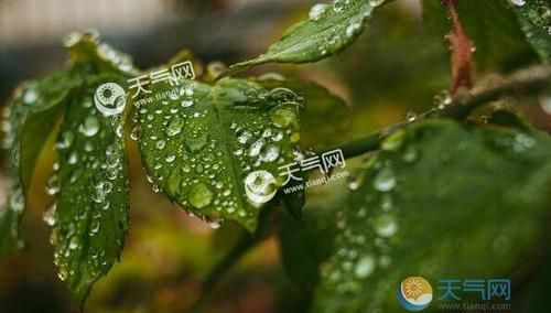 梅雨季节何时结束,2020上海梅雨季节什么时候结束图3