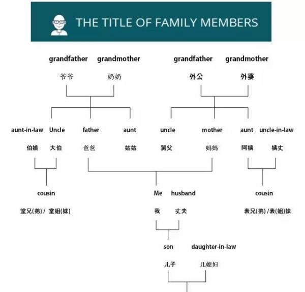 姐姐儿子叫侄子还是叫外甥,写一个特点鲜明的人的作文400字图4