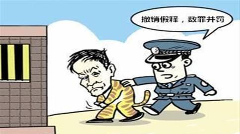 什么情况下不适用缓刑,争取缓刑一定要请律师图3