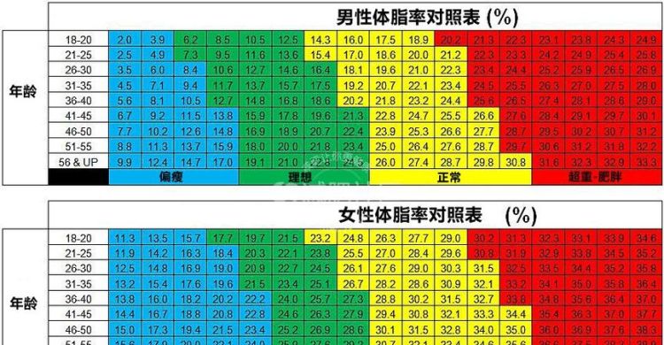 男生体脂率多少正常,男人体脂肪率多少正常图2