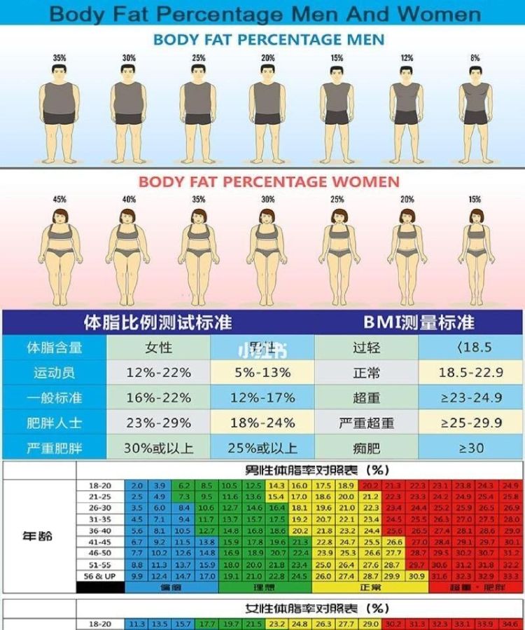 男生体脂率多少正常,男人体脂肪率多少正常图3