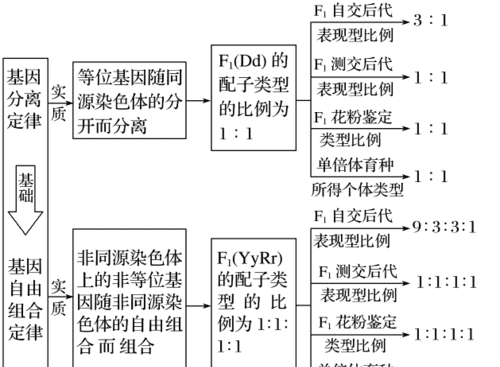 反交是什么意思生物,正交与反交有什么区别图4