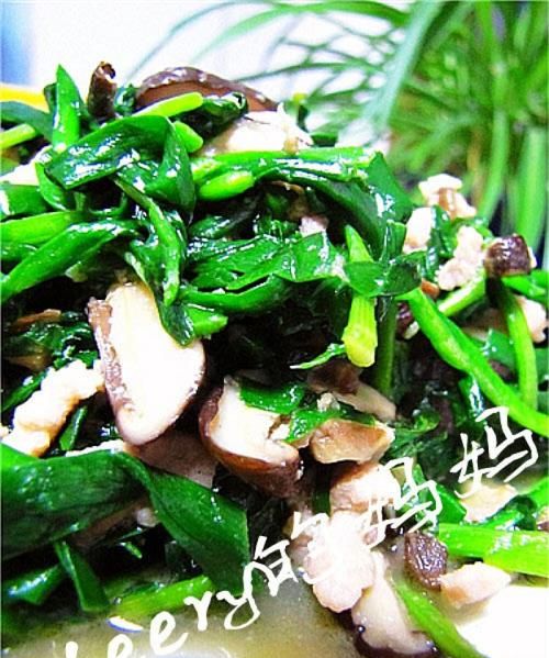 香菇韭菜能同吃,韭菜跟香菇一起包饺子能吃图2