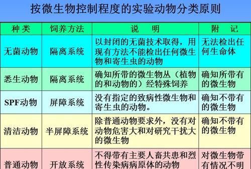 人类培育的第一种无菌动物是,悉生生物名词解释图3