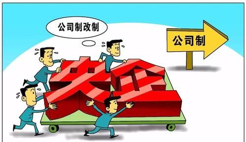 股份制公司法人责任的依据是什么,公司法人要承担什么责任图1