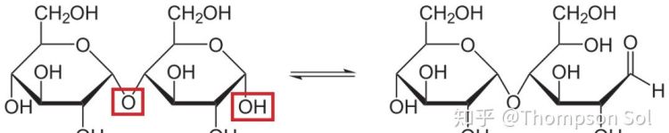 麦芽糖有醛基,麦芽糖有几个醛基图3