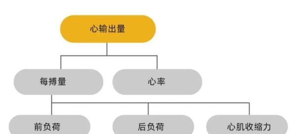 心指数是指下列哪项计算的心排出量,心指数的计算公式是什么并举例图2