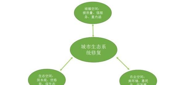 什么是指在生态空间范围内具有特殊重要生态功能,生态保护的三条控制线是什么图5