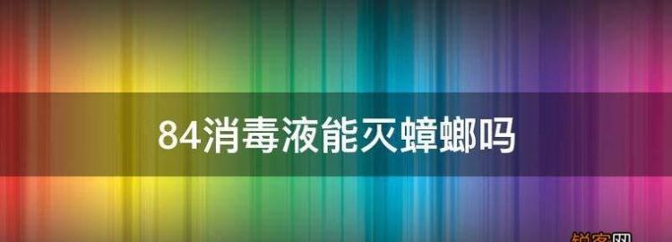 八四消毒液能杀死蟑螂,八四消毒液能杀死蟑螂的虫卵