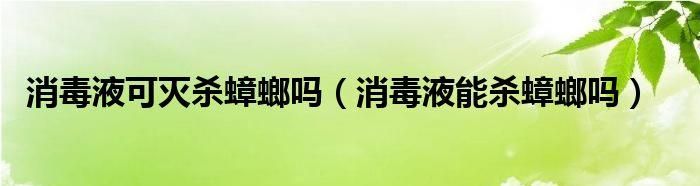 八四消毒液能杀死蟑螂,八四消毒液能杀死蟑螂的虫卵图4