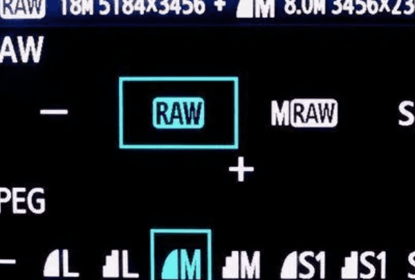 raw模式是什么意思,什么是RAW文件图2